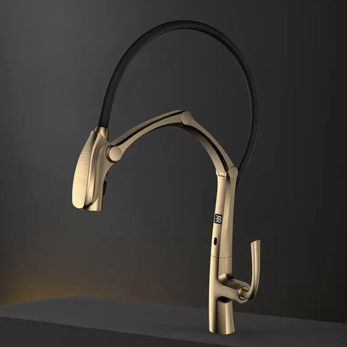 COBRA| PULL DOWN KITCHEN FAUCET WITH LED DISPLAY AND SENSOR