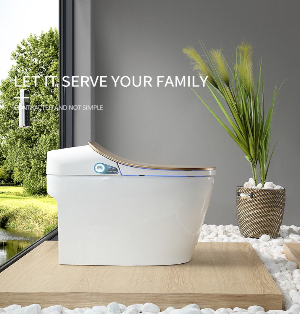 Glacier Luxury  One-Piece Smart Toilet Floor Mounted HD Screen &Remote Control Simple Fashionable Design -Red Wine